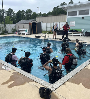 Explore Florida’s Underwater World